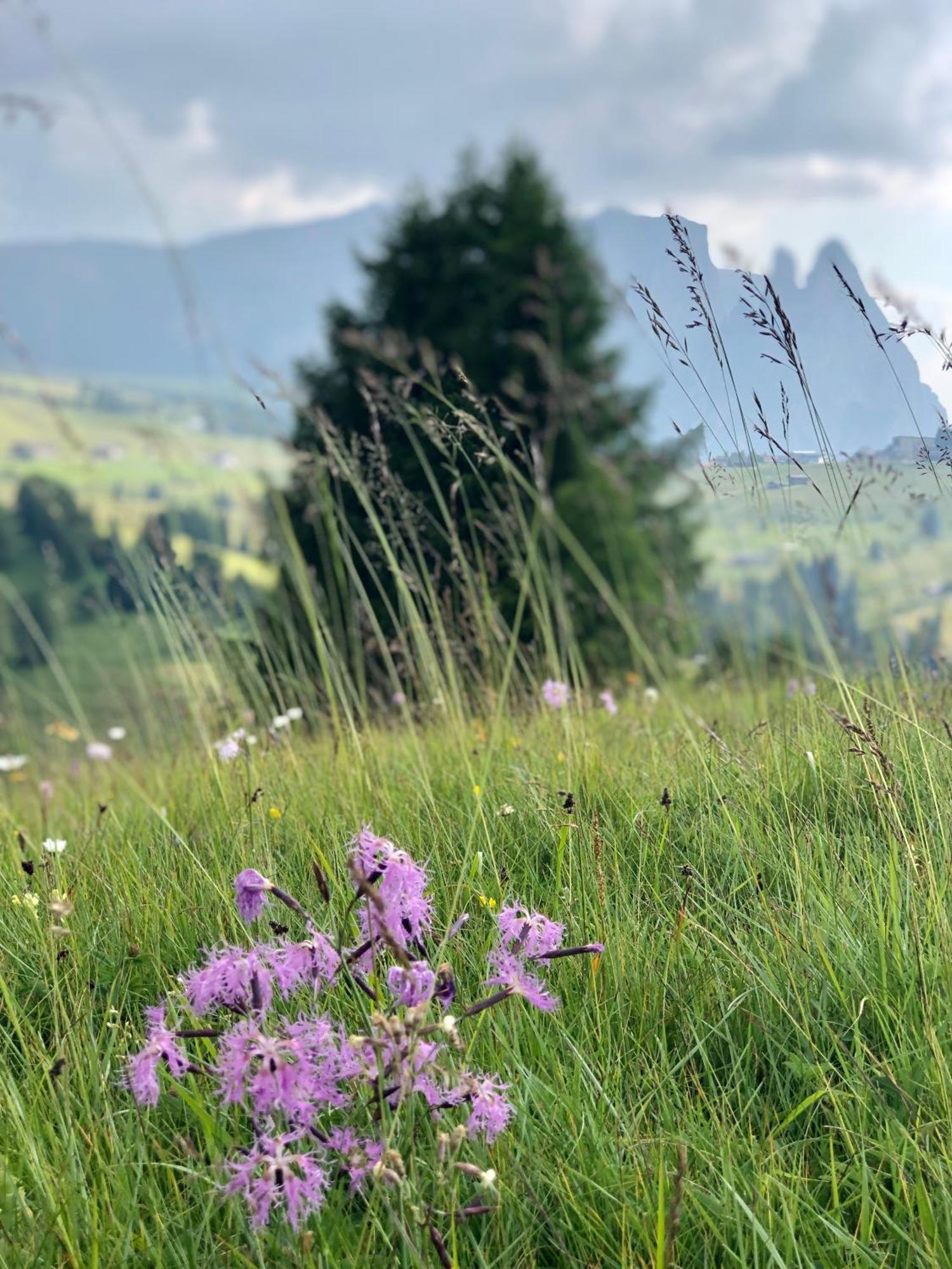 Sule Hof Agriturismo Urtijëi Buitenkant foto